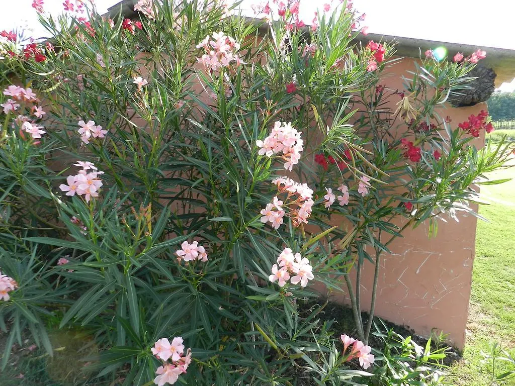 Agriturismo Zio Michele Guest House Isola della Scala 0*,  Italy